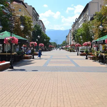 Lonely Traveler Studio Apartment Sofia